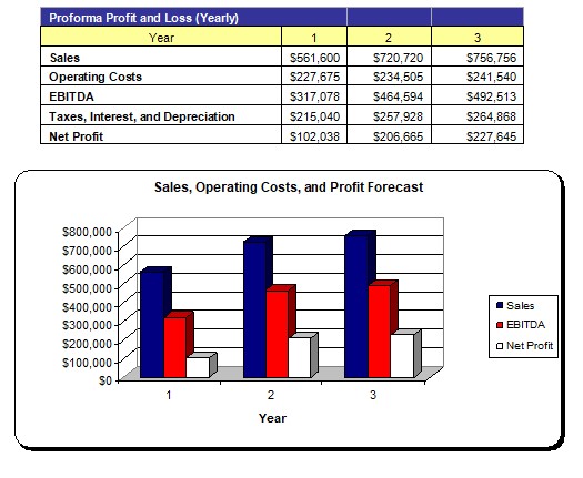 Profit and Loss Overview